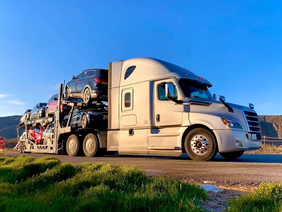 Deltrans Group car carrier truck hauling vehicles on the highway